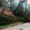 A landslide blocking a street in West Seattle.

USGS Image