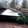 Alsea, Oregon, 1998
Debris piled against the back of the cabin.

USGS Image