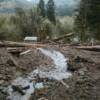 Oregon, USA 2006 - Debris flow that crossed Bullock Road (N43° 33.623' W 123° 56.902') deposit. 

Photo by Rex Baum, USGS
