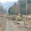 Landslide damage in the Clatskanie, Oregon region. 

Photo courtesy of Clatskanie, Oregon PUD employee Kerry Kallunki 