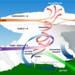 A schematic of a supercell thunderstorm showing the location of the mesocyclone, the updraft and downdrafts, and the steering winds.